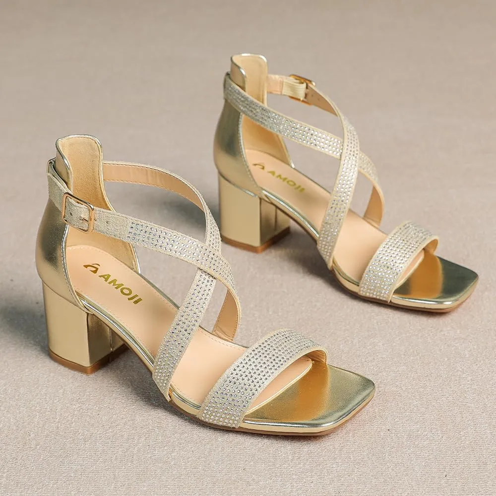 Amoji Women's 2.5 Inch Low Heel Ankle Strap Dressy Sandals 301