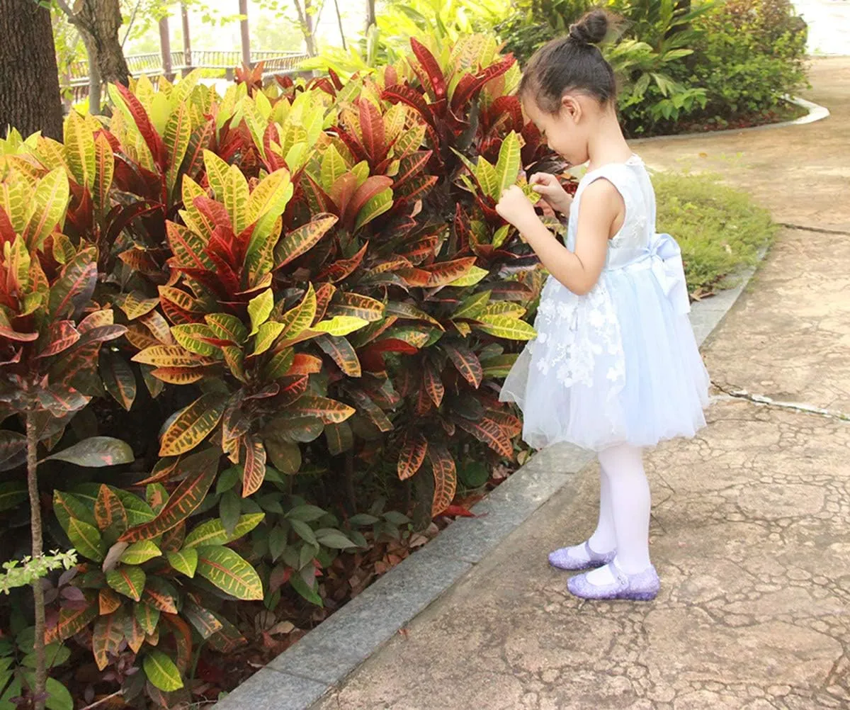 GUGUYeah Princess Costumes Jelly Flats Shoes, Cosplay Birthday Party Dress Up Sandals for Little Girls, Toddler or Kids